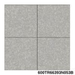 Gạch 60x60 600TR66393N Porcelain mờ - Ảnh 2