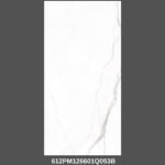 Gạch 60x120 612PM126601Q Porcelain mờ mịn