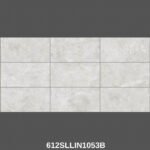 Gạch 60x120 612SLLIN1 Porcelain mờ mịn Satin - Ảnh 2