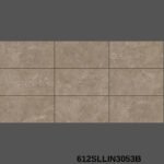 Gạch 60x120 612SLLIN3 Porcelain mờ mịn Satin - Ảnh 2