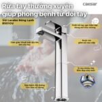 Vòi lavabo CAESAR B551CU nóng lạnh - Ảnh 9
