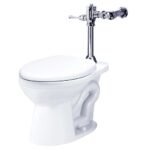 Bộ xả tay gạt bồn cầu CAESAR BF521A