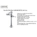 Bộ xả tay gạt bồn cầu CAESAR BF523A - Ảnh 5