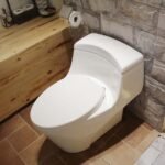 Bồn cầu CAESAR C1353 (CD1353) 1 khối nắp êm MU234, xả gạt - Ảnh 2