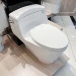 Bồn cầu CAESAR C1353 (CD1353) 1 khối nắp êm MU234, xả gạt - Ảnh 4