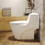 Bồn cầu CAESAR C1353 (CD1353) 1 khối nắp êm MU234, xả gạt - Ảnh 6