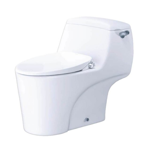 Bồn cầu CAESAR C1353F/ TAF060 (CD1353) 1 khối nắp rửa cơ TAF060, xả gạt