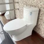 Bồn cầu CAESAR C1375 (CD1375) 1 khối nắp êm M221 - Ảnh 4