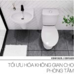 Bồn cầu CAESAR CTS1325 2 khối nắp êm MS220 - Ảnh 7