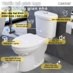 Bồn cầu CAESAR CTS1338 2 khối nắp êm MS220 - Ảnh 2
