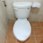 Bồn cầu CAESAR CPT1332 2 khối nắp thường M220, xả gạt, thoát ngang - Ảnh 5