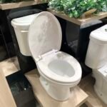 Bồn cầu CAESAR CPT1332 2 khối nắp thường M220, xả gạt, thoát ngang - Ảnh 3