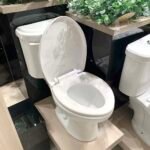 Bồn cầu CAESAR CPT1332 2 khối nắp thường M220, xả gạt, thoát ngang - Ảnh 4