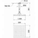 Bát sen gắn trần TOTO URBANIQUE DB144-1CR vuông 220mm - Ảnh 2
