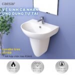 Chân treo lavabo CAESAR P2443 - Ảnh 2