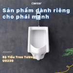 Bồn tiểu nam CAESAR U0230 treo tường, thoát ngang - Ảnh 6