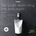 Bồn tiểu nam CAESAR U0233 treo tường, thoát ngang - Ảnh 3
