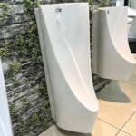 Bồn tiểu nam CAESAR U0235 treo tường, thoát ngang - Ảnh 3