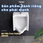 Bồn tiểu nam CAESAR U0240 treo tường, thoát ngang - Ảnh 6