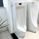 Bồn tiểu nam CAESAR U0284 đặt sàn, cấp nước sau, thoát sàn - Ảnh 2