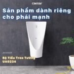 Bồn tiểu nam CAESAR U0234 treo tường, cấp nước sau, thoát ngang - Ảnh 3