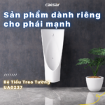 Bồn tiểu nam CAESAR U0237 treo tường, cấp nước sau, thoát ngang - Ảnh 6