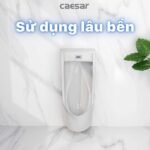Bồn tiểu nam CAESAR UA0283 treo tường, kèm van xả cảm ứng A640, thoát ngang - Ảnh 5
