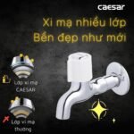 Vòi lavabo CAESAR W037C lạnh, gắn tường - Ảnh 3
