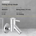 Vòi lavabo CAESAR W047C lạnh, gắn tường - Ảnh 7