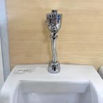 Van xả tiểu AMERICAN STADARD WF-9802 (WF9802) nút nhấn - Ảnh 4