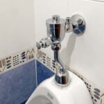 Van xả tiểu AMERICAN STADARD WF-9802 (WF9802) nút nhấn - Ảnh 3