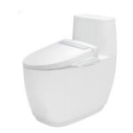 Bồn cầu INAX AC-1052+CW-H20VN/ BW1 (AC1052) 1 khối nắp điện tử CW-H20VN