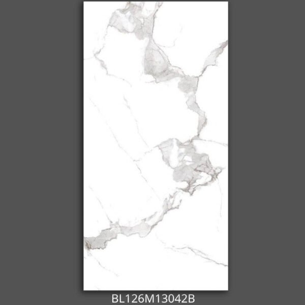 Gạch 60x120 BL126M13 Porcelain mờ mịn