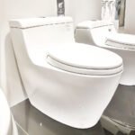 Bồn cầu TOTO MS636DT2#XW 1 khối nắp êm TC393VS - Ảnh 2