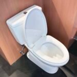 Bồn cầu TOTO CS300DT3Y1#W 2 khối nắp êm TC385VS - Ảnh 4