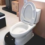 Bồn cầu TOTO CS302DT10#W 2 khối nắp êm TC395VS - Ảnh 4