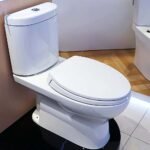 Bồn cầu TOTO CS325DRT2#W 2 khối nắp êm TC393VS - Ảnh 3