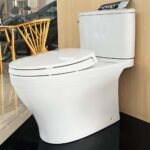 Bồn cầu TOTO CS767RT2#XW 2 khối nắp êm TC393VS - Ảnh 2