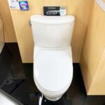 Bồn cầu TOTO CS767RT2#XW 2 khối nắp êm TC393VS - Ảnh 4