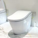 Bồn cầu thông minh NEOREST LS TOTO CS911VT#NW1/ TCF87320GAA#NW1/ T53P100VR - Ảnh 3