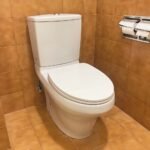 Bồn cầu TOTO CS945PDT10#XW (Thoát ngang) 2 khối, nắp êm TC395VS - Ảnh 3