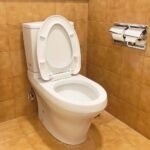 Bồn cầu TOTO CS945PDT10#XW (Thoát ngang) 2 khối, nắp êm TC395VS - Ảnh 4