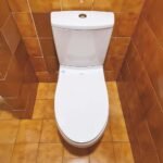 Bồn cầu TOTO CS945PDT10#XW (Thoát ngang) 2 khối, nắp êm TC395VS - Ảnh 2