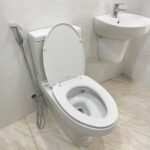 Bồn cầu TOTO CS948DT10#XW 2 khối, nắp êm TC395VS - Ảnh 3