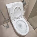 Bồn cầu TOTO CS948DT8#XW 2 khối, nắp êm TC600VS - Ảnh 4