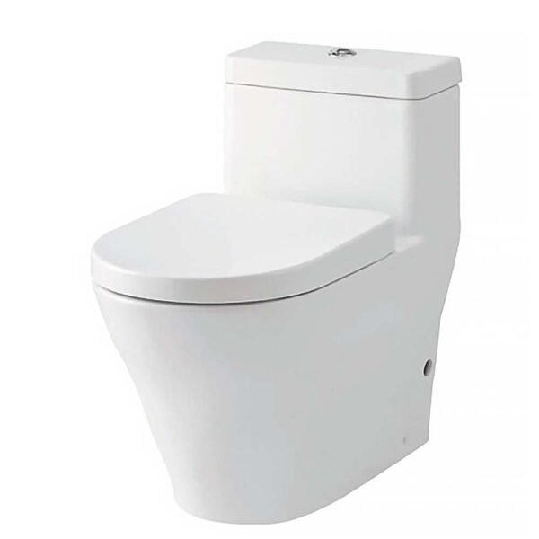 Bồn cầu TOTO CW166RB#XW 1 khối nắp êm TC384CVK