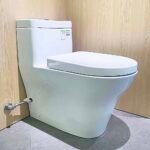 Bồn cầu TOTO CW166RB#XW 1 khối nắp êm TC384CVK - Ảnh 2