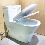 Bồn cầu TOTO CW166RB#XW 1 khối nắp êm TC384CVK - Ảnh 3