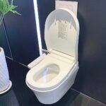 Bồn cầu TOTO CW553C#XW treo tường (giấu dây), nắp điện tử TCF33370GAA - Ảnh 5