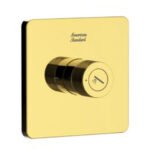 Nút điều chỉnh tay sen American Standard FFAS0925CS dòng EasySET, màu vàng bóng